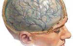 Как лечить головокружение после сотрясения мозга