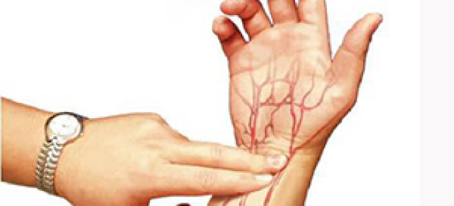 Где можно измерить пульс человека