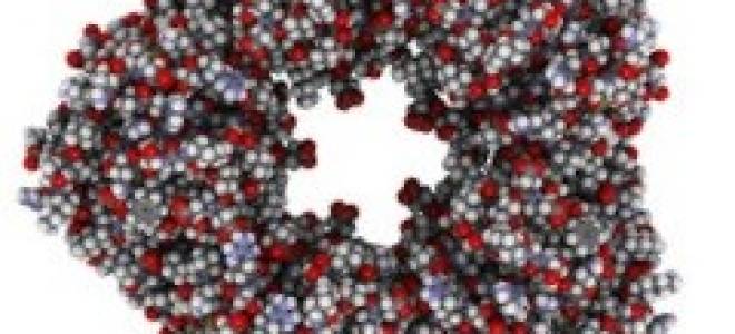 Биохимический анализ крови срб что это такое