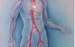 Акупунктурные точки при аритмии сердца