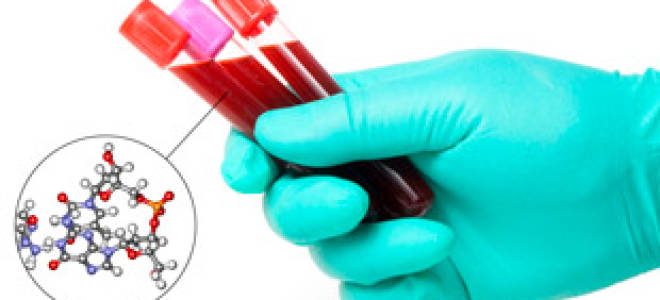 C реактивный белок повышен причины у взрослых