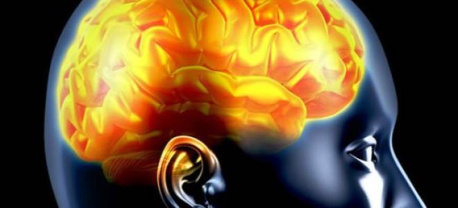 Воспаление коры головного мозга последствия