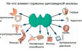 Гипертензия щитовидной железы что это