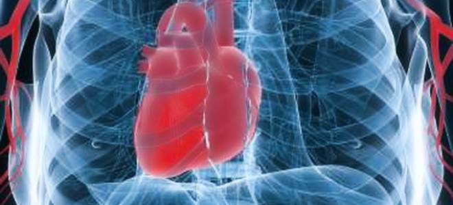 Гомеопатия при аритмии сердца