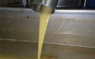 Как давят оливковое масло
