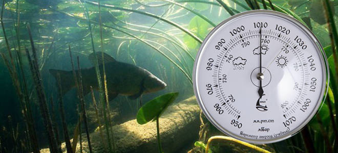 Давление 750 мм рт ст для рыбалки