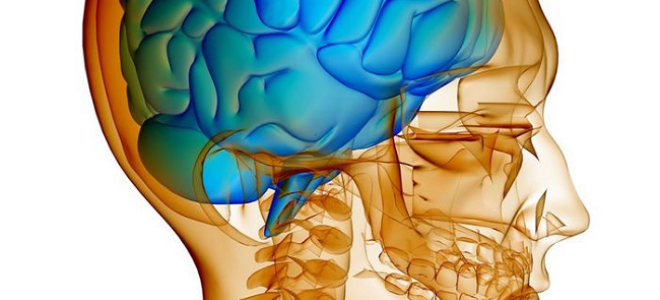 Внутричерепное давление у 8 месячного ребенка