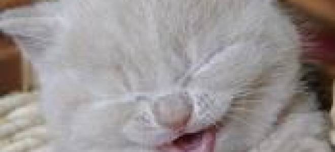 Давление 150 на 100 не сбивается