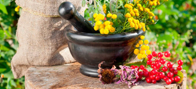 Как вылечить гипертонию за три дня