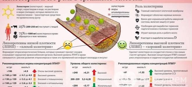 Гиперхолестеринемия что это такое