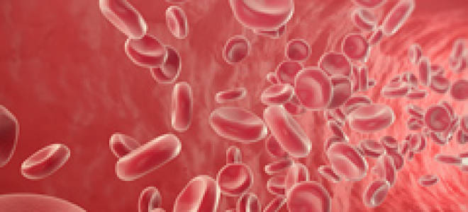 Дефицит железа в крови